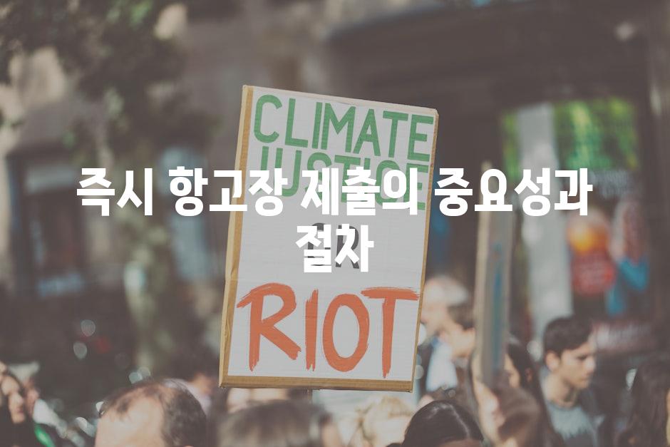 즉시 항고장 제출의 중요성과 절차