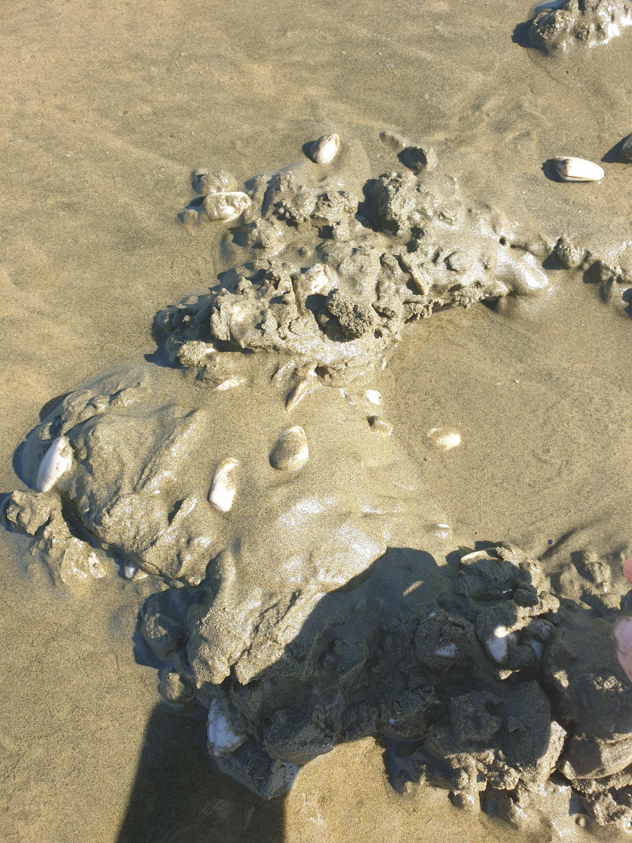 Ninety Mile Beach