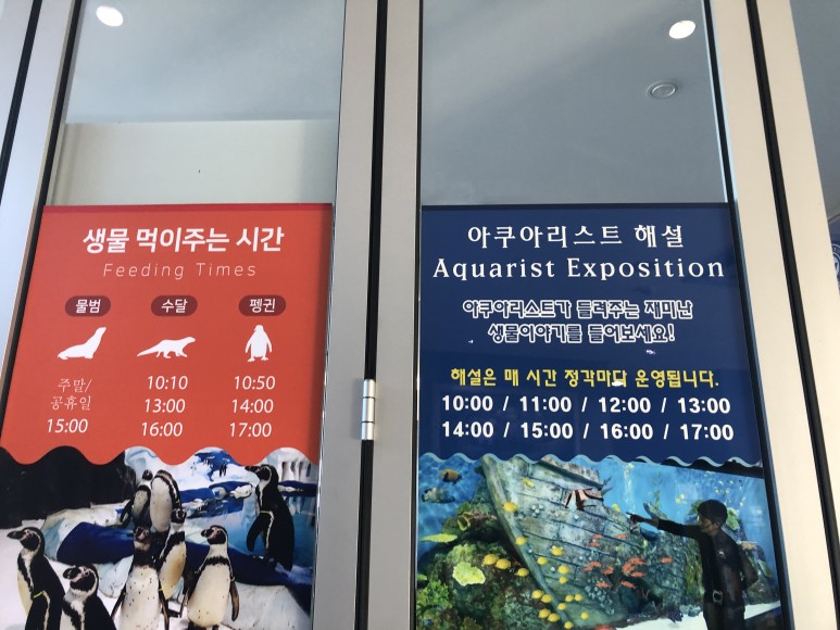 단위로 가기 좋은 강릉여행 경포 아쿠아리움 | 가족 15