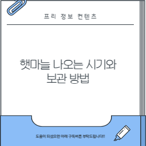 햇마늘 나오는 시기