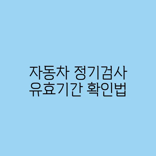 자동차 정기검사 유효기간 확인법