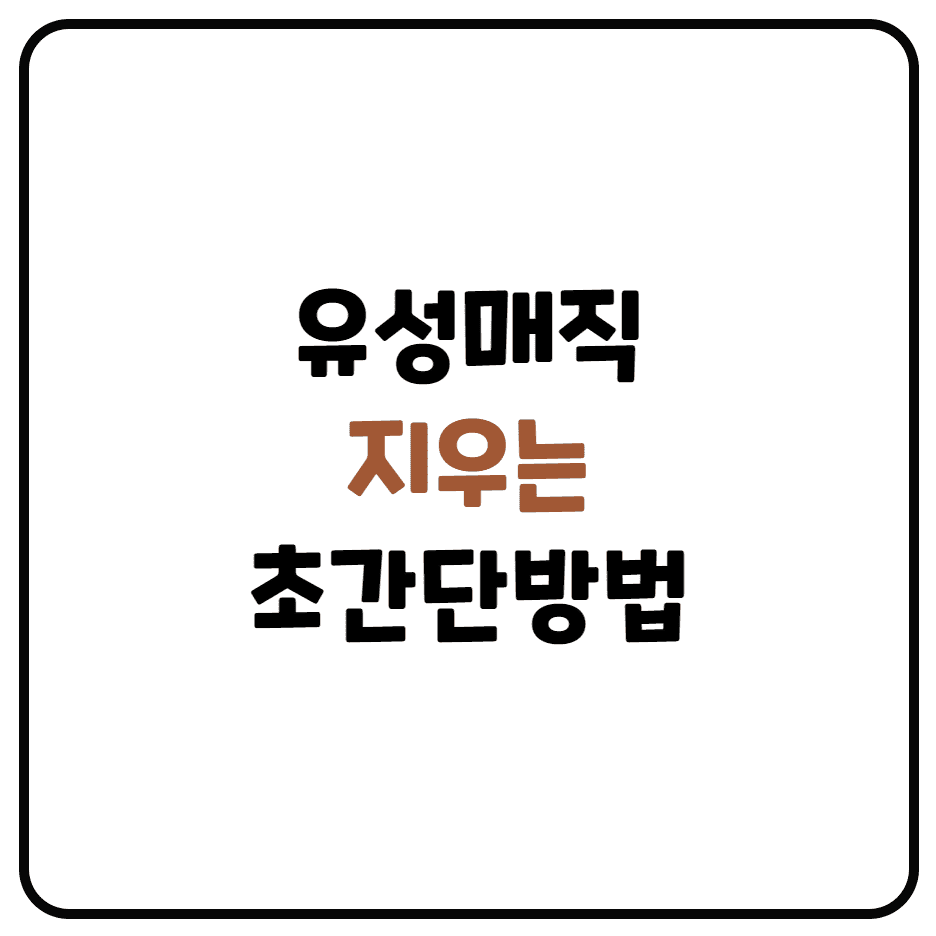  유성매직 지우는 초간단 방법