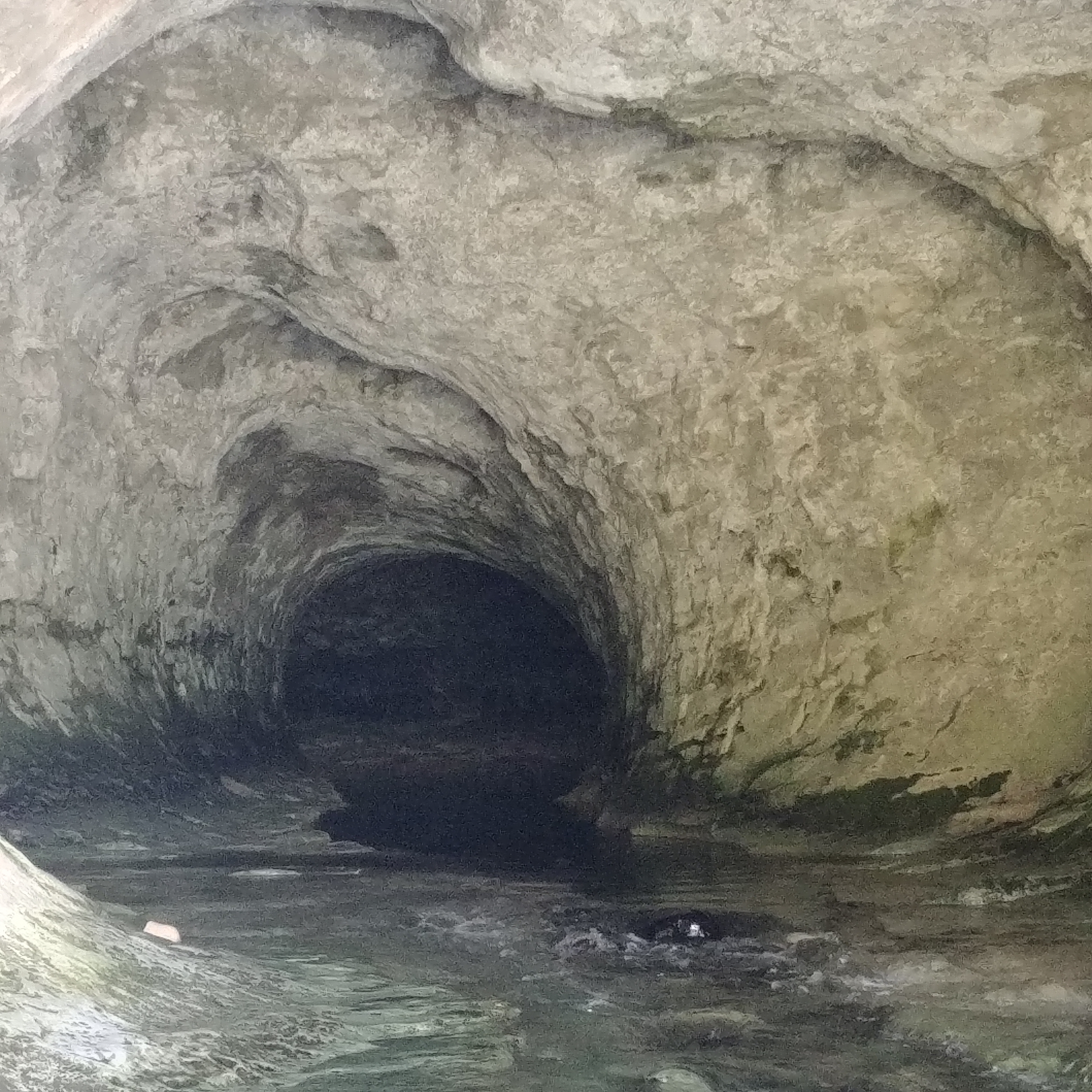 Cave Stream Scenic Reserve