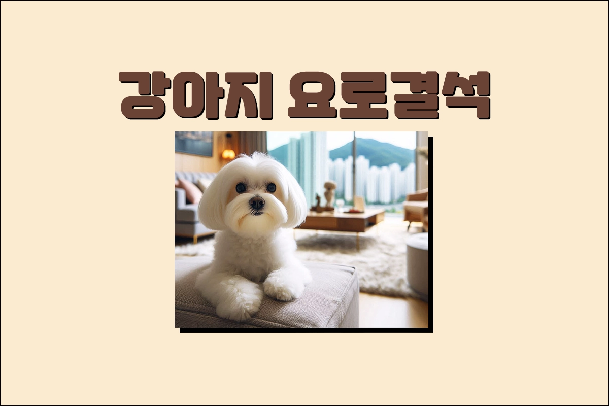 강아지 요로결석