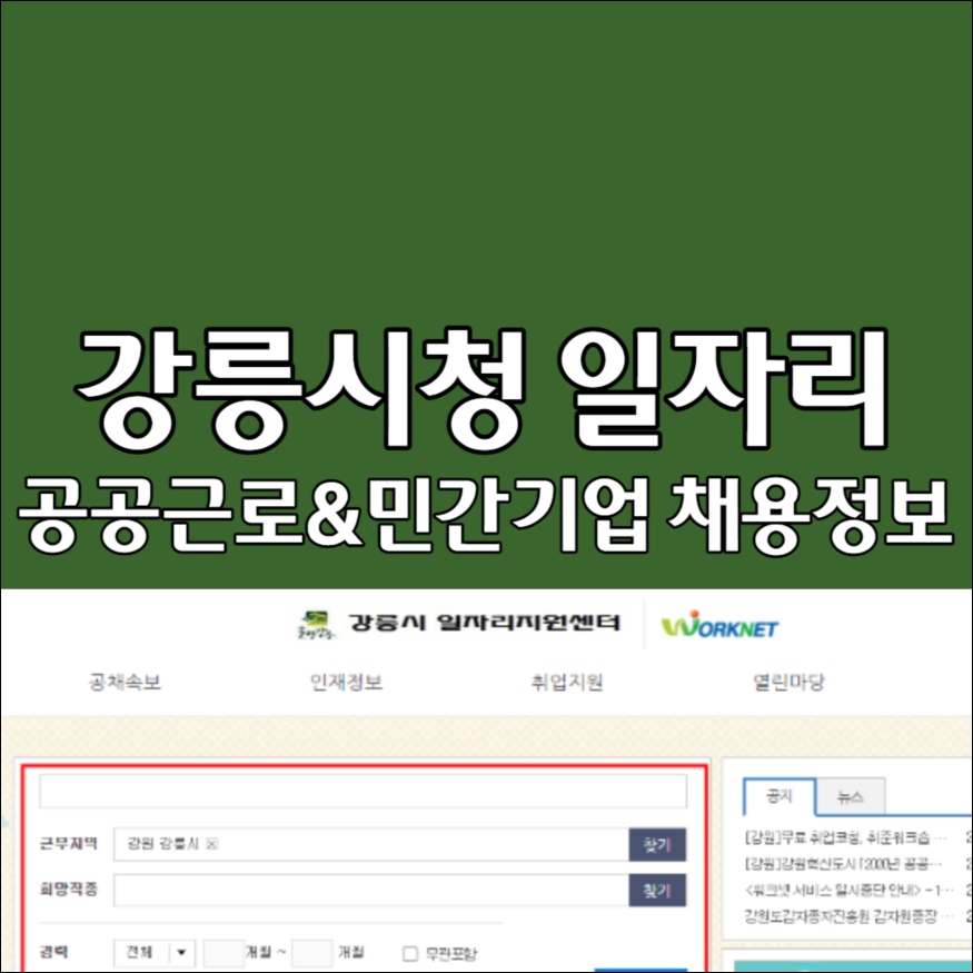 강릉시청 일자리 지원센터 고용센터 홈페이지 취업 구인구직 채용정보