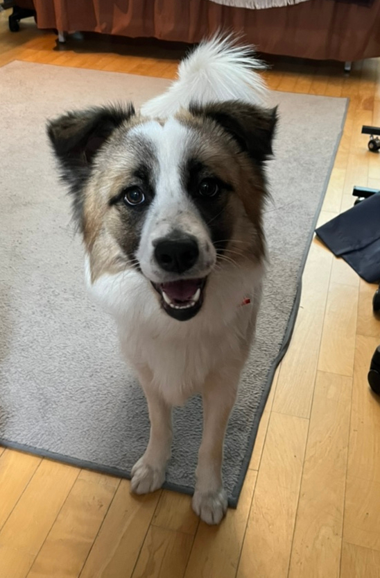 스포츠 마사지 "커피앤힐링 마사지" [인천 연수구] 시원한 10