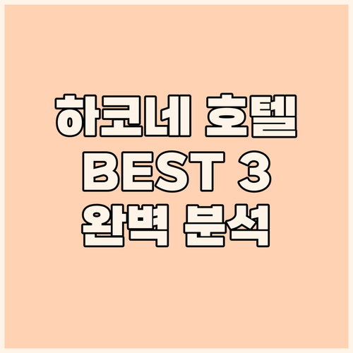 하코네 호텔 완벽 분석 인기 숙소 3