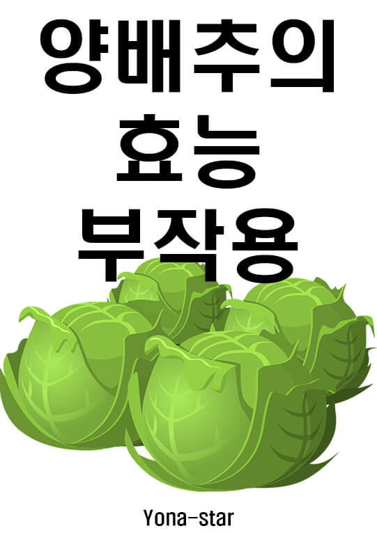  위 보호를 위한 양배추의 효능과 부작용