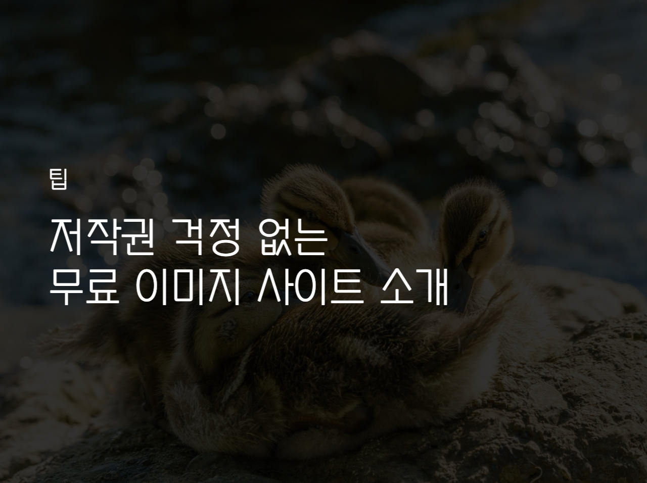  저작권 걱정 없는 무료 이미지 사이트 소개 5종