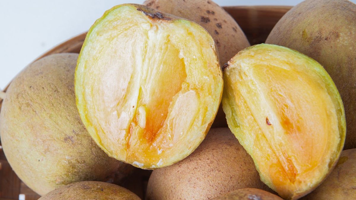  사포딜라 Sapodilla 에 대해서 알아볼게요.