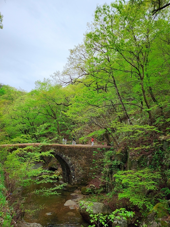 순천 선암사 승선교