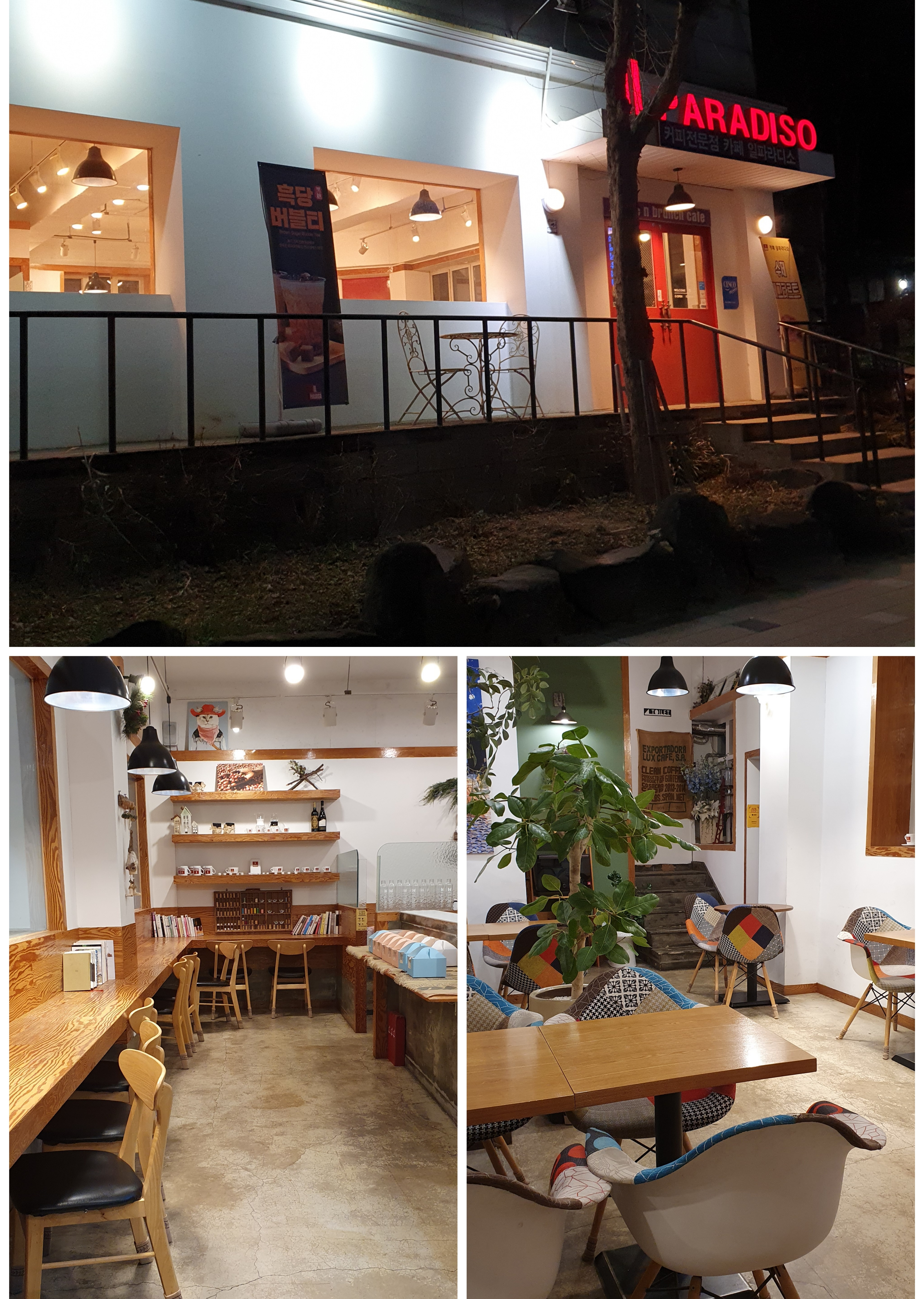 일파라디소 이미지
