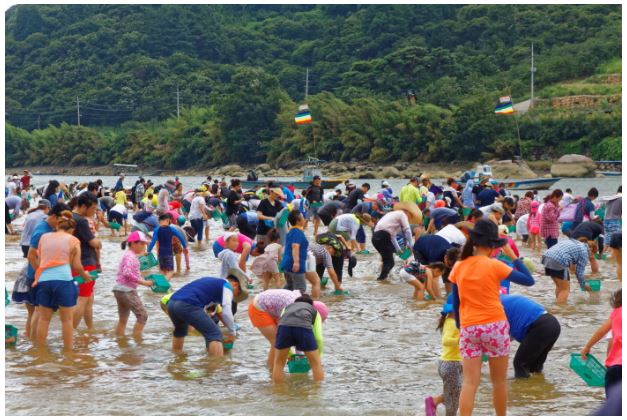  [축제 정보] 하동 섬진강 문화 재첩 축제 - 더운 여름, 섬진강에서 떠오르는 열정의 축제!