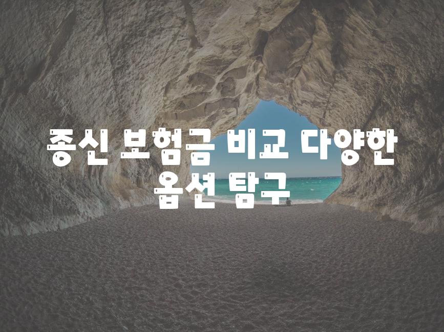 종신 보험금 비교 다양한 옵션 비교