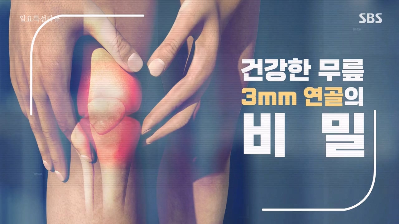 일요특선 다큐멘터리.E341.240318p-NEXT.mp4_20240317_182941.993.jpg