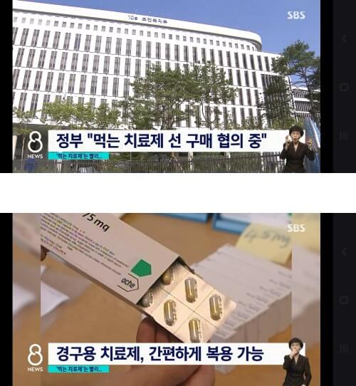  먹는 코로나 치료제 가격 진행상황 정리!