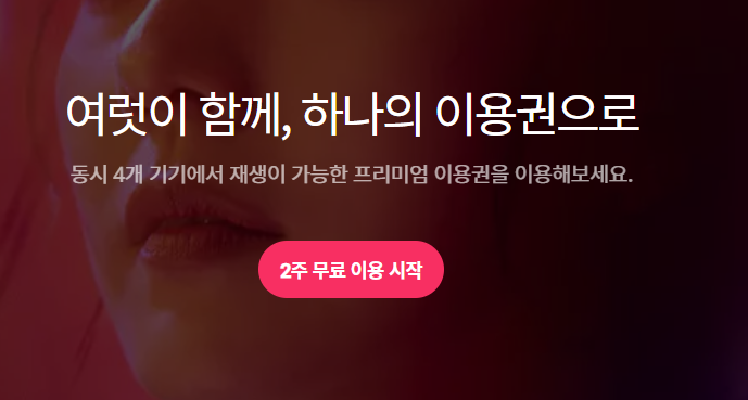 왓챠_메인페이지