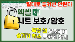 엑셀 파일과 시트 보안