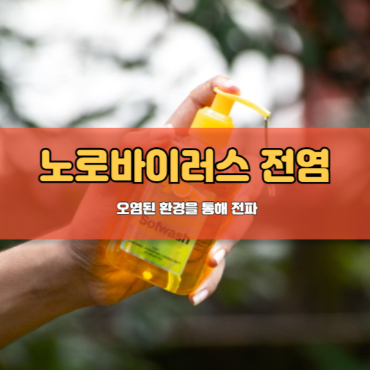 노로바이러스 원인, 증상, 치료, 예방법, 전염, 검사방법, 그리고 장염에 좋은 음식