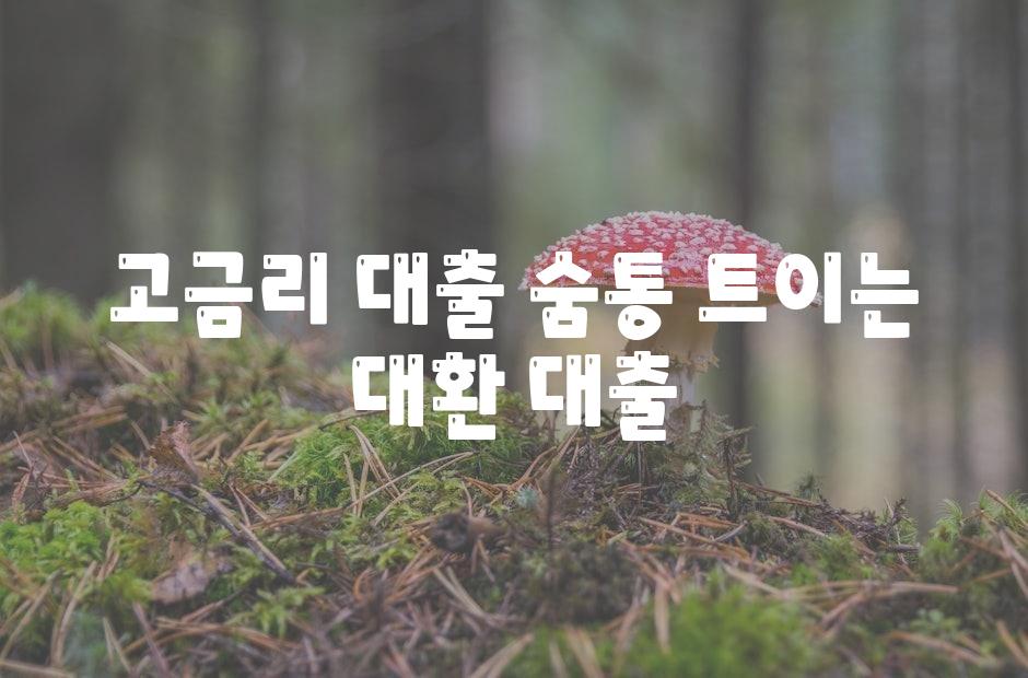 고금리 대출 숨통 트이는 대환 대출