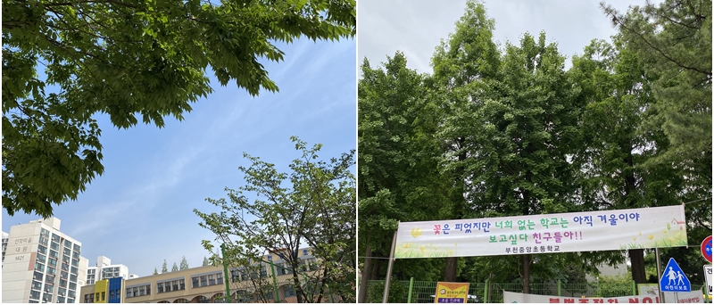 부천중앙초등학교 이미지