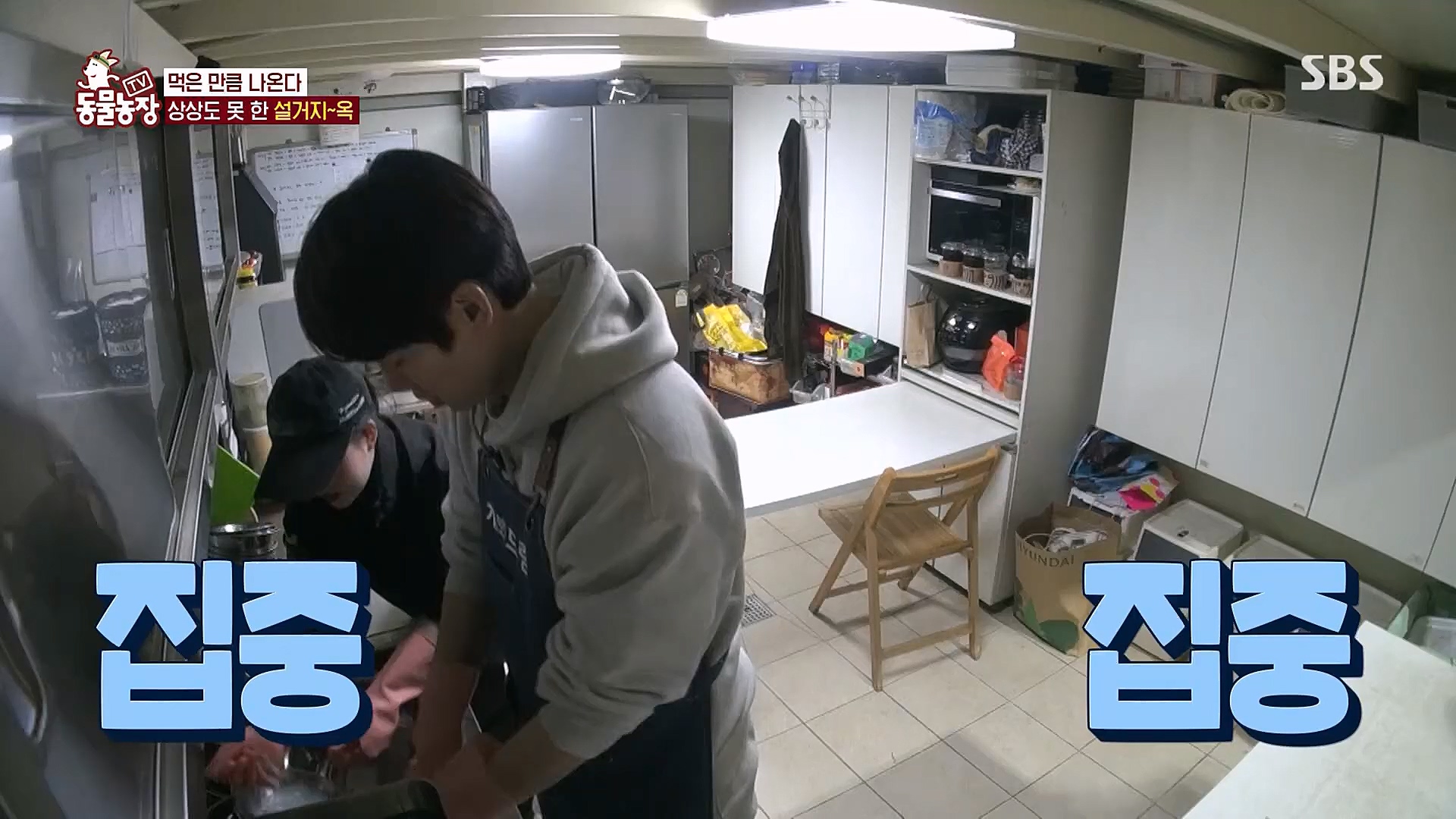 TV 동물농장.E1111.230312p.H264-F1RST.mp4_20230312_180002.321.jpg