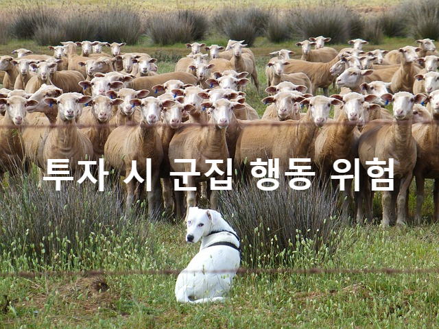 군집행동