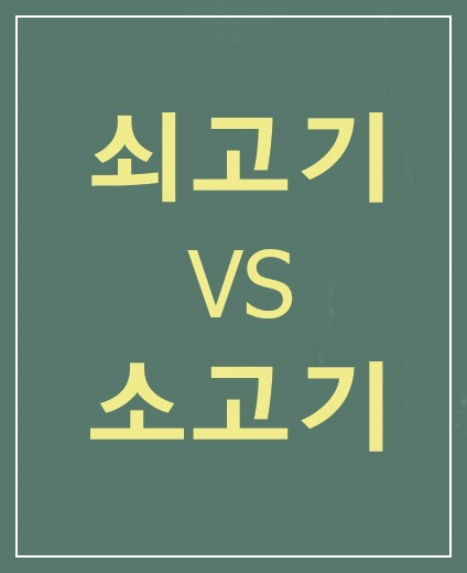 쇠고기-소고기