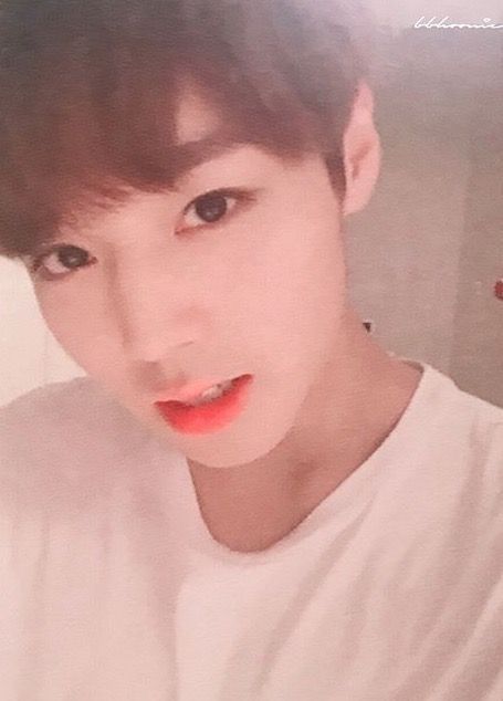 강다니엘 / 워너원