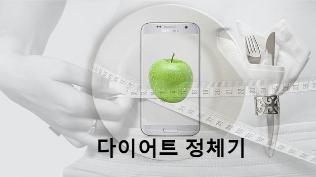  다이어트 언제까지 계속 되는 거야? 다들 어떻게 고비를 넘겼어?