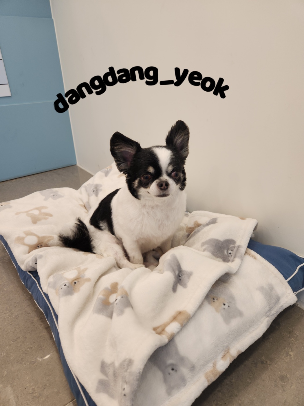 초이미용실 이미지