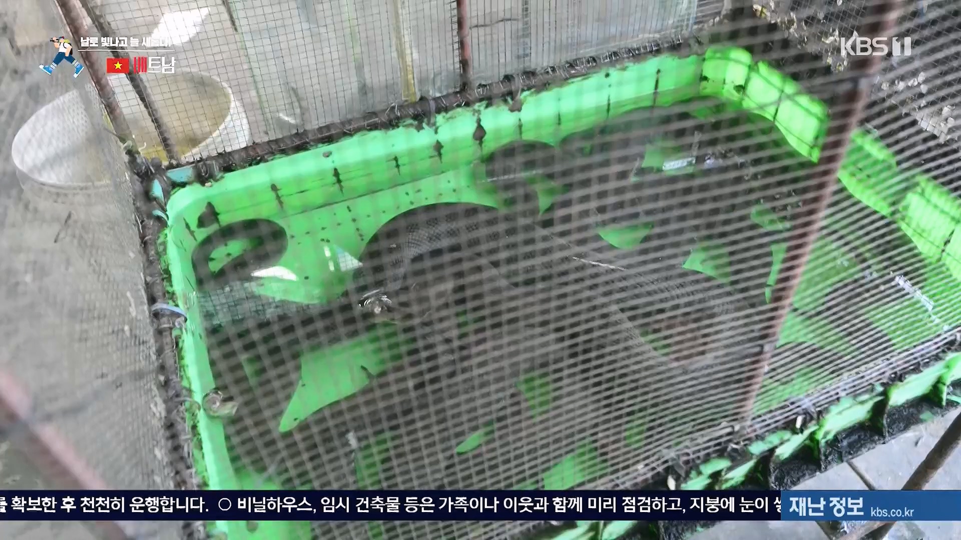 걸어서 세계속으로.E826.240120p.H264-F1RST.mp4_20240716_202844.239.jpg