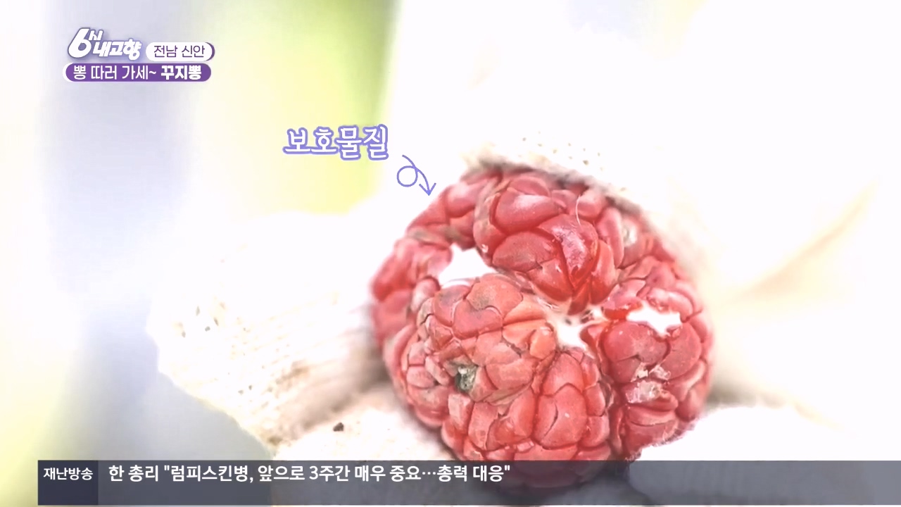 6시 내고향.E7897.231025p.H264-F1RST.mp4_20231025_200415.403.jpg