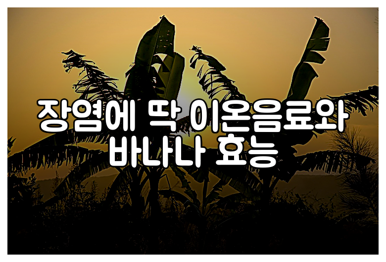 장염에 딱 이온음료와 바나나 효능