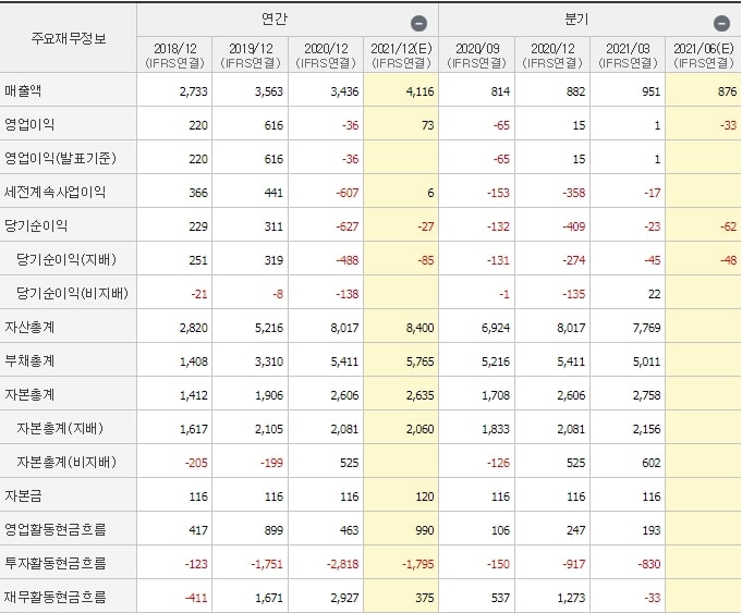 네패스-재무제표