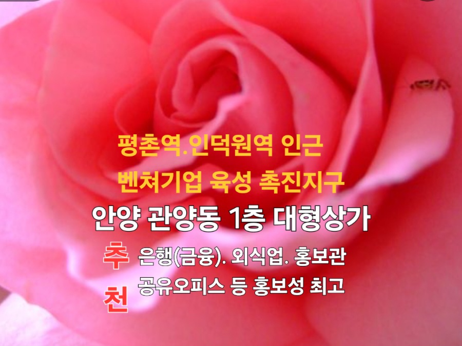 홍보성 이미지