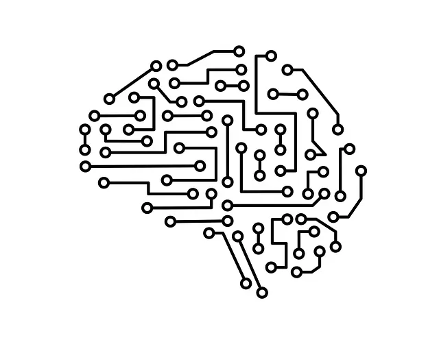 외상 후 스트레스 장애(PTSD)와 뇌: 트라우마가 뇌에 미치는 영향