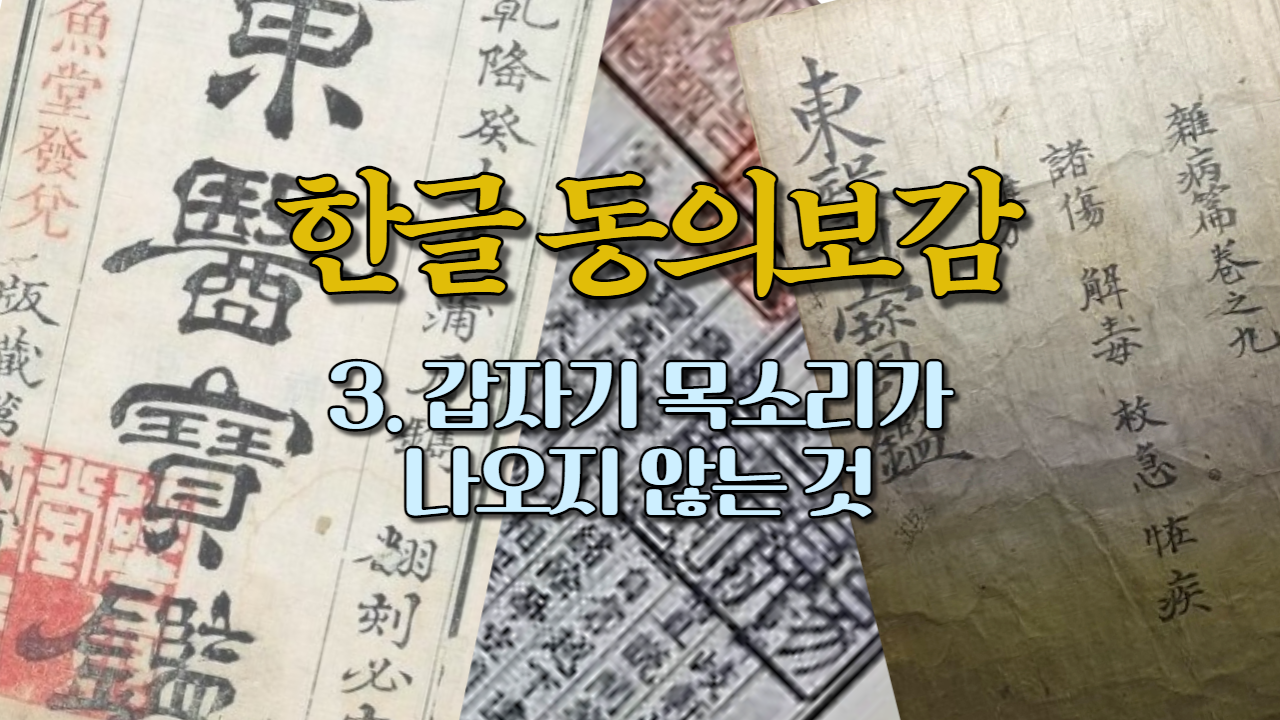  3. 갑자기 목소리가 나오지 않는 것 (내경편 목소리)