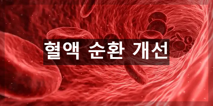 혈액 순환 표현