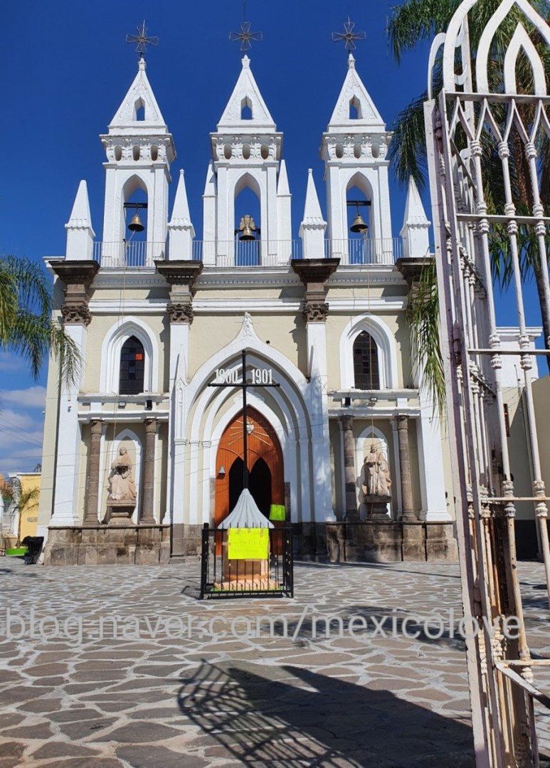 또날라 할리스코 8