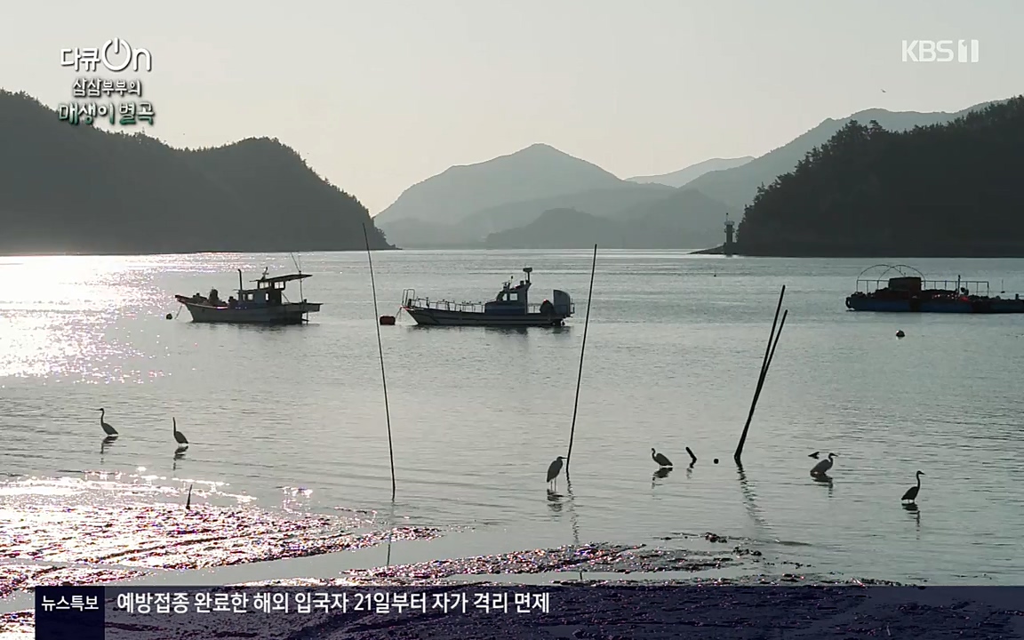 다큐 온.E131p-NEXT.mp4_20220319_174029.151.jpg
