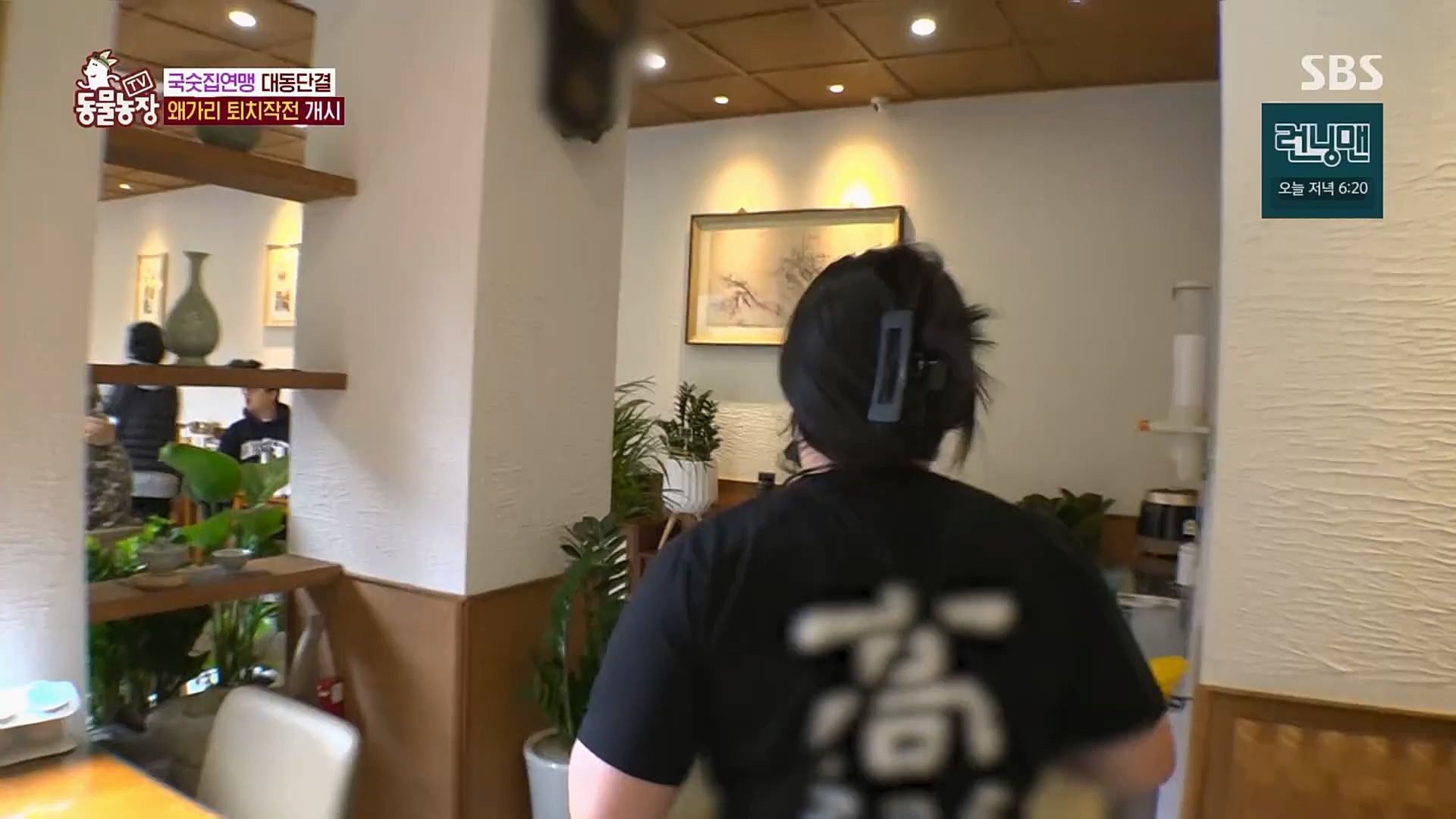 TV 동물농장.E1103.230108p.H264-F1RST.mp4_20230108_174635.789.jpg