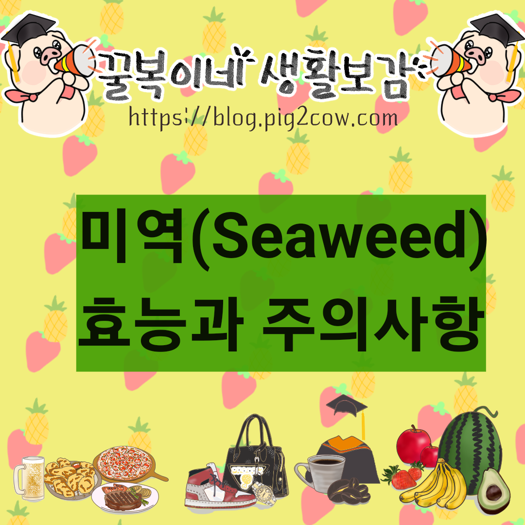  미역 영양소 성분 효능 주의사항(Seaweed)