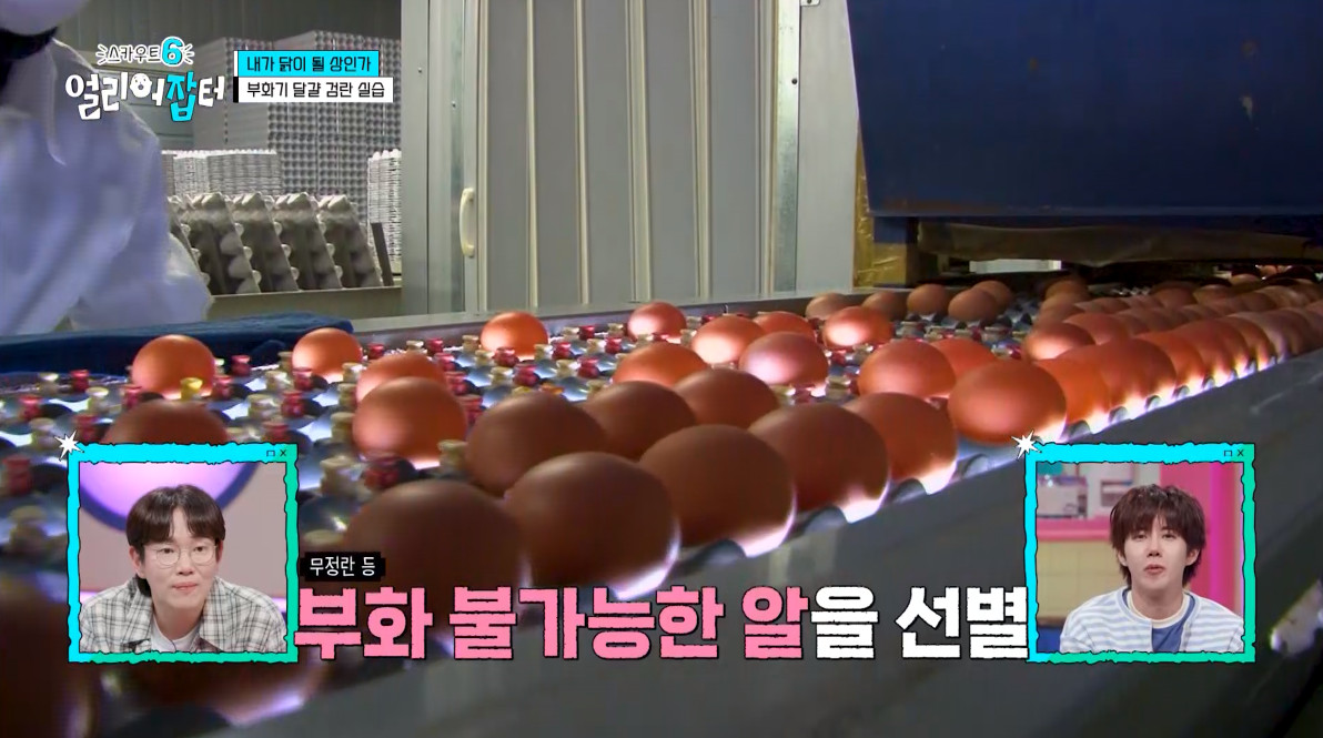 개신기한 병아리 꿈틀대면서 부화하는 모습...jpg | 인스티즈