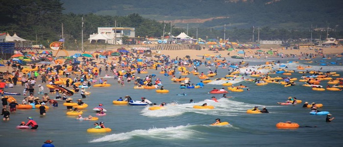 전라남도 해수욕장 바로가기