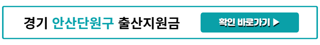 경기 안산단원구 출산지원금
