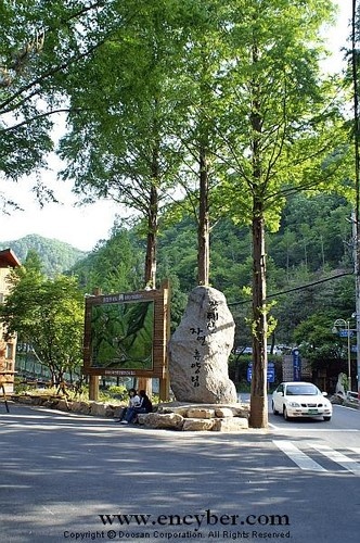 알고계십니까 산림욕장, 족욕체험, 오마카세 철판 코스요리 맛집, 메타세콰이어 숲 힐링 여행 가볼만한 곳 추천 대전 위치 어디 추천 다시보기