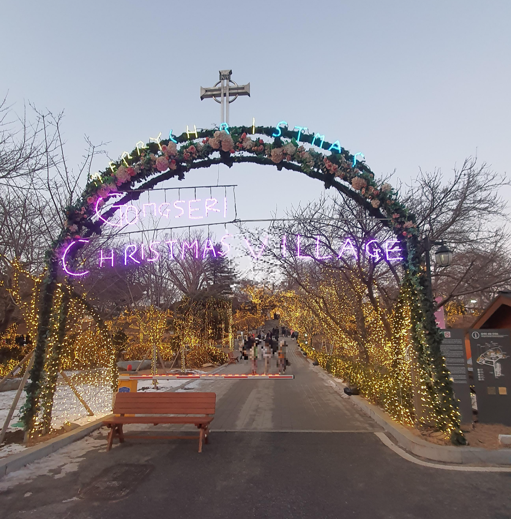 아산 공세리성당 크리스마스 트리 명소 주차 팁