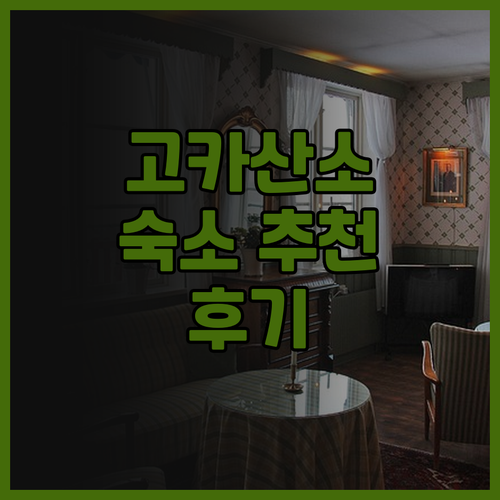 고카산소 숙소 추천 후기는 이곳에서