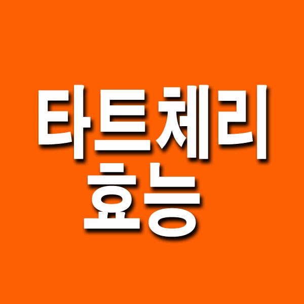  타트체리 효능 부작용 총정리